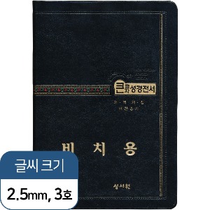 비치용 기본 성경전서 NKR73STH (중/검정/새찬송가/색인/무지퍼)