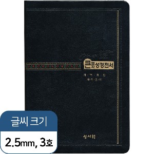 교회비치용 성경전서 NKR72STH (중/검정/새찬송가/색인/무지퍼)