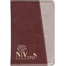 개정 NIV 2도 한영해설성경(특중/단본/버건디은색/색인/무지퍼)
